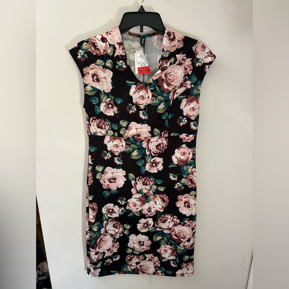 Size Large Women’s dress new with tags
